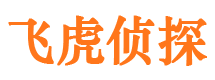 田家庵侦探公司